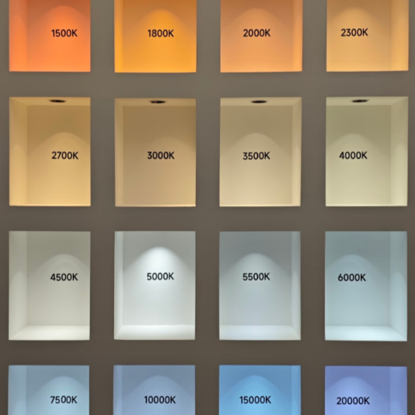 Research the impact of lighting and color on the overall atmosphere.